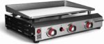Gas Grill