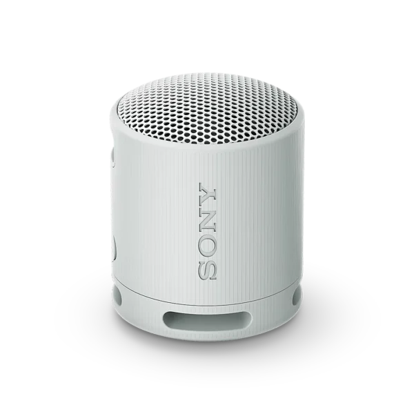 Sony XB100 Portable Wireless Speaker
